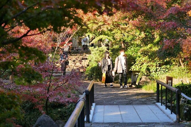 autumn-leaves-private-tour-in-nagoya