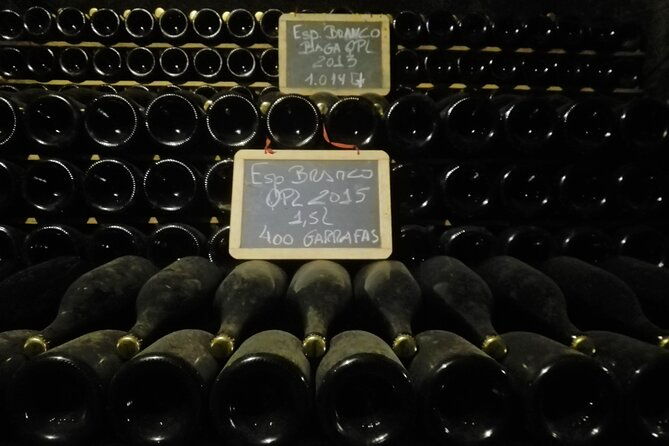 bairrada-winery-route-half-day-from-coimbra