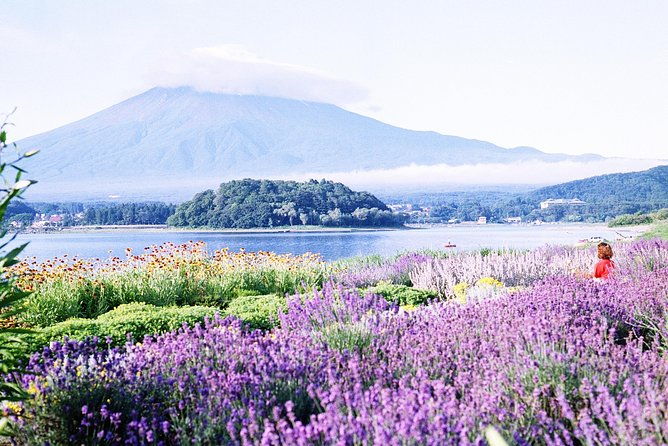 barrier-free-private-mt-fuji-tour-for-wheelchair-users