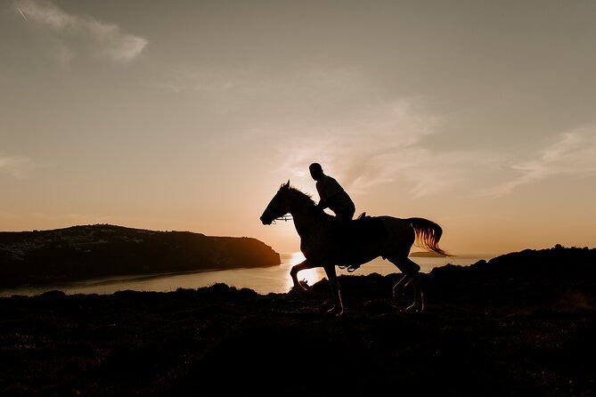 beach-gallop-horse-riding-safari-for-experienced-riders