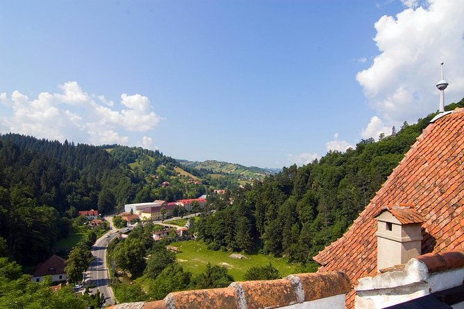 bear-sanctuary-bran-dracula-castle-peles-castle-from-brasov