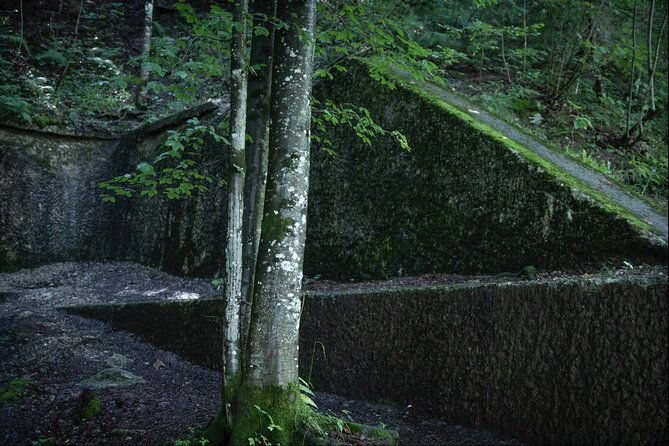 berchtesgaden-obersalzberg-private-half-day-wwii-historical-tour