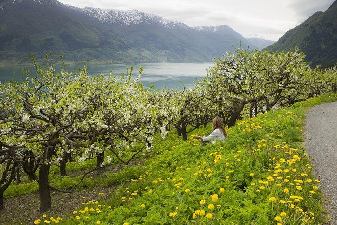 bergen-private-full-day-roundtrip-to-hardangerfjord-with-cruise