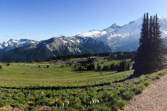 best-of-mount-rainier-national-park-from-seattle-all-inclusive-small-group-tour