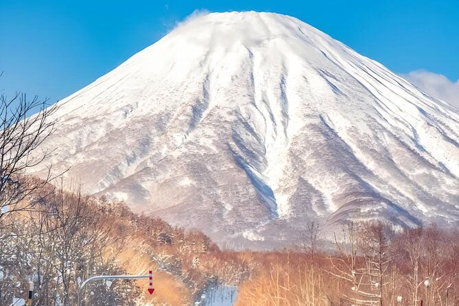 beyond-the-ordinary-private-mount-fuji-cherry-blossom-tour