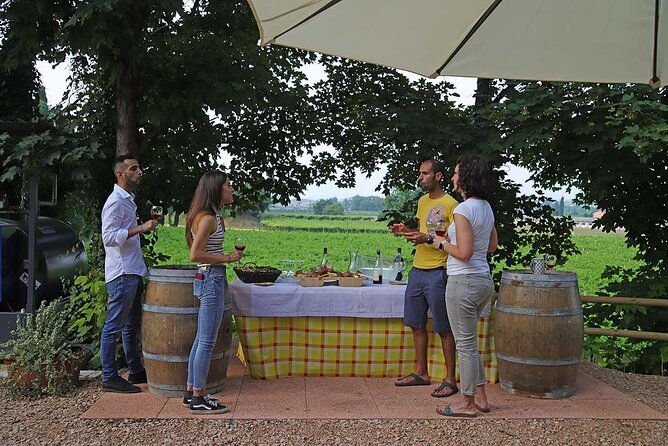 biodynamic-farm-and-natural-wines-tasting-in-lazise