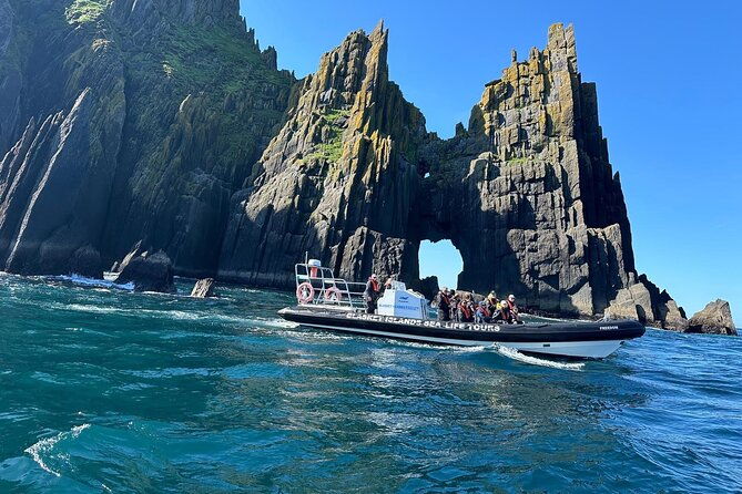 blasket-island-sea-life-rib-tour