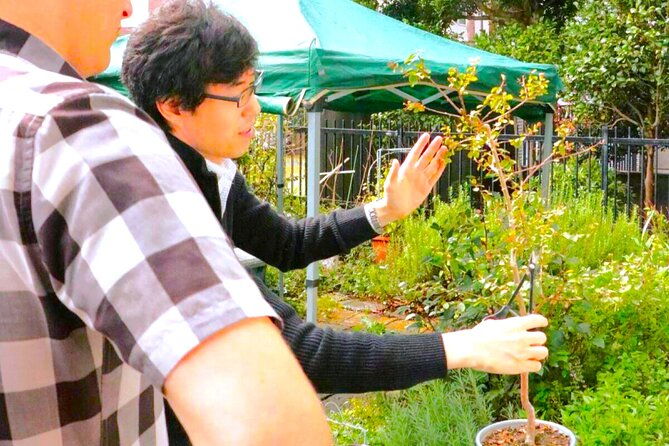 bonsai-tour-experience-at-the-most-sacred-city-for-bonsai-in-jp