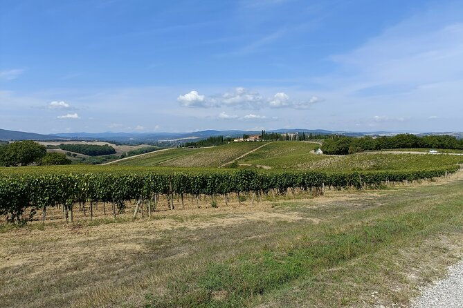 brunello-e-bike-tour