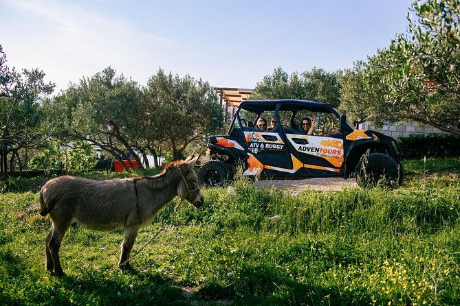 buggy-dubrovnik-safari-tour-private