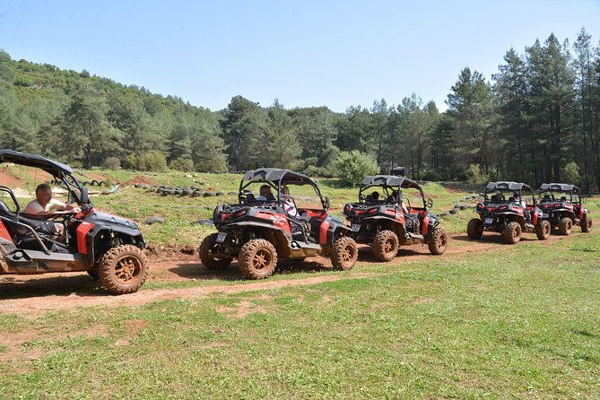 buggy-safari