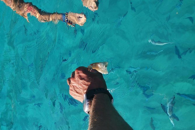 by-boat-between-the-sea-and-the-most-beautiful-beaches-capo-vaticano-tropea-briatico
