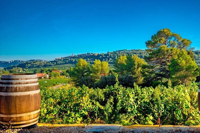 cellar-visit-bandol-wine-tasting
