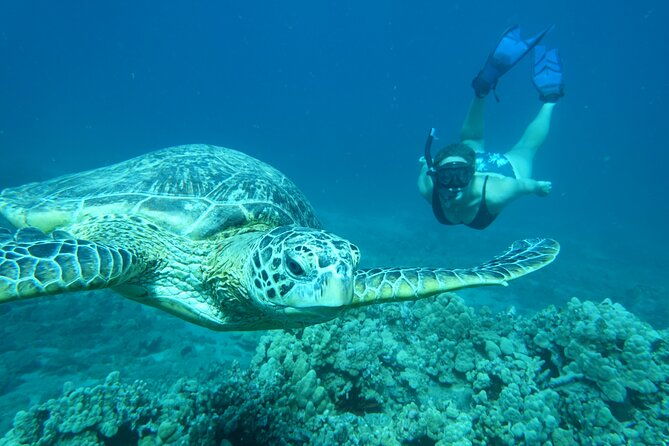 clear-bottom-kayak-and-snorkel-tour-at-turtle-town-makena