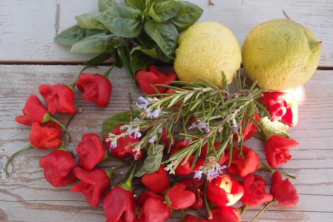 cooking-class-traditional-greek-cuisine-on-a-greek-island
