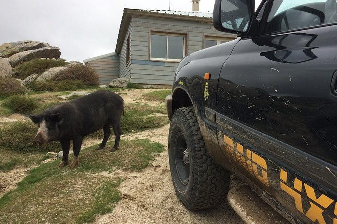 corsica-extreme-sud-day-4x4-excursions-from-porto-vecchio