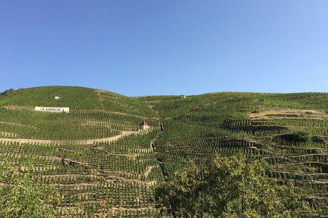 cotes-du-rhone-wine-tour-private-tour-full-day-from-lyon