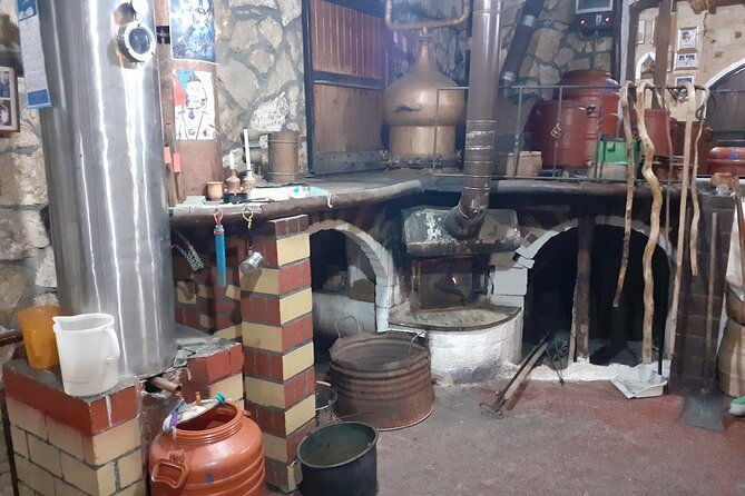 cretan-wines-olive-oil-tour-the-treasures-of-crete