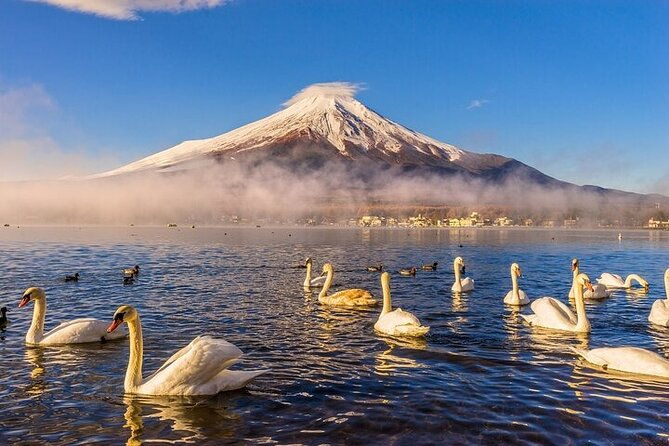 customizable-private-tour-in-mt-fuji-with-private-driver