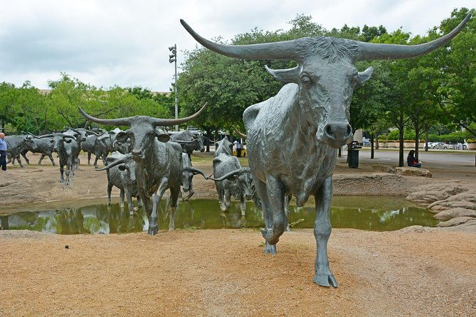 dallas-and-jfk-cruizer-tour