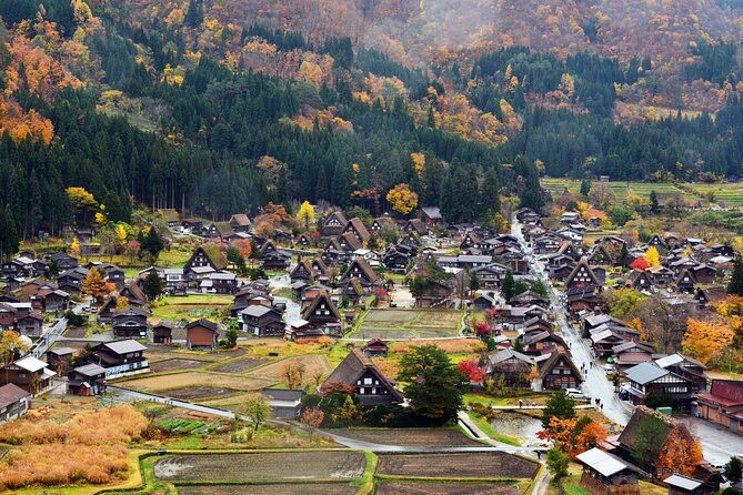 day-trip-for-shirakawago-takayama-gujo-hachiman-from-nagoya
