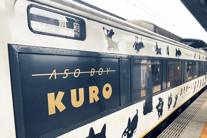 discover-kumamoto-with-aso-boy-scenic-train