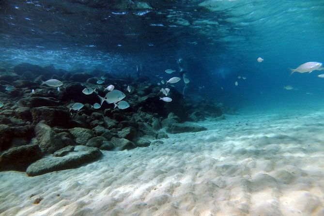 discover-scuba-diving-in-lanzarote-costa-teguise