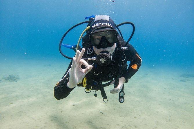 discover-the-underwater-world-of-lanzarote