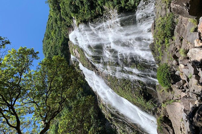 discovery-of-yakushima