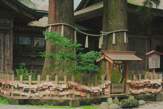 divine-footsteps-anime-locations-takachiho-one-day-bus-tour