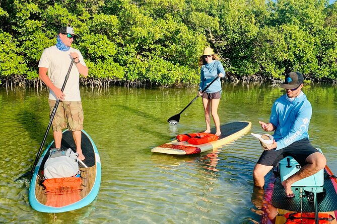 dolphin-and-manatee-adventure-tour-of-fort-myers