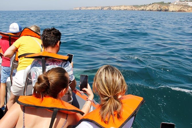 dolphin-and-whale-watching-in-lagos