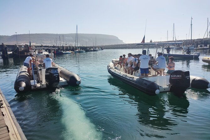 dolphin-watching-and-boat-tour-in-sesimbra