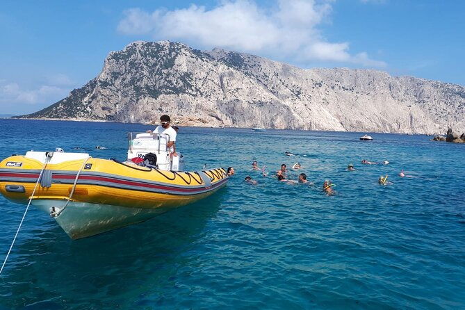 dolphin-watching-and-snorkeling-in-figarolo-in-sardinia