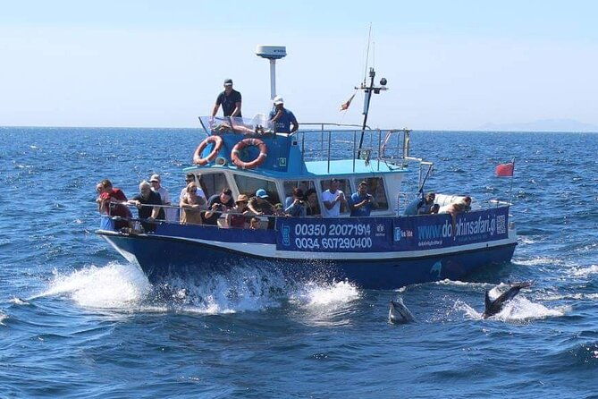 dolphin-watching-in-gibraltar-with-the-blue-boat-dolphin-safari