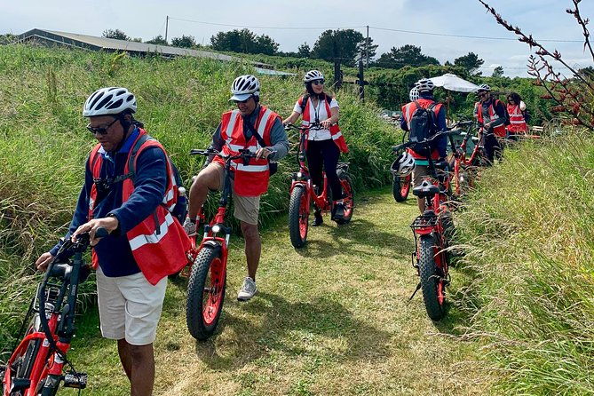 dublin-panoramic-e-bike-tour-with-howth-adventures