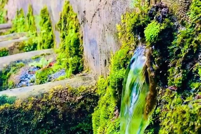 e-bike-nature-tour-in-shuri