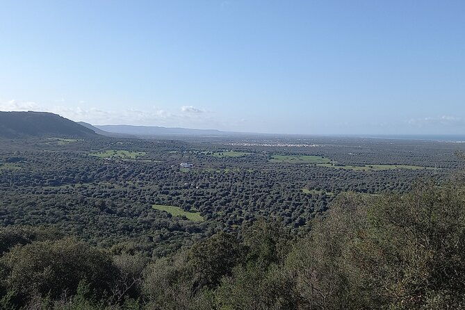e-bike-tour-in-the-plain-of-the-secular-olive-trees-of-ostuni
