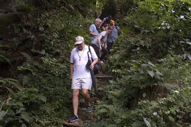 %e3%80%903-hour-private-walking-tour%e3%80%91-in-kamakura