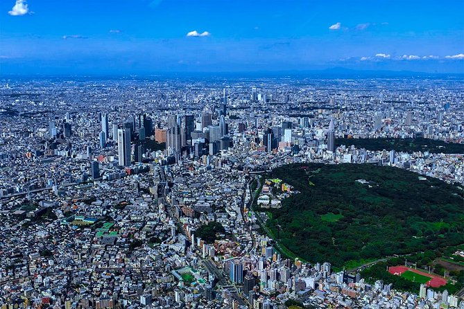 %e3%80%9075-mins%e3%80%91-tokyo-mt-fuji-tour-mt-fuji-helicopter-tour