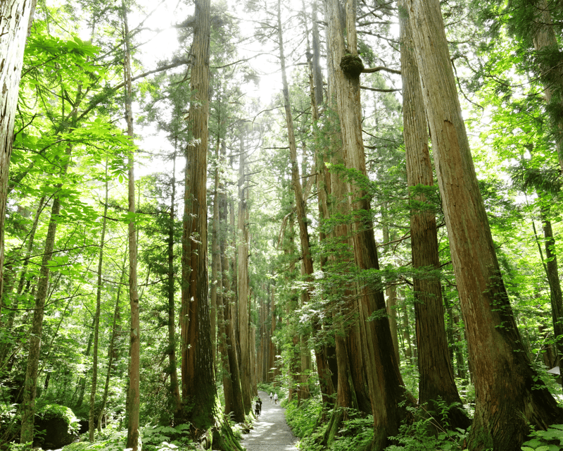 %e3%80%90private%e3%80%91snow-monkey-togakushi-shrine-from-nagano-myoko