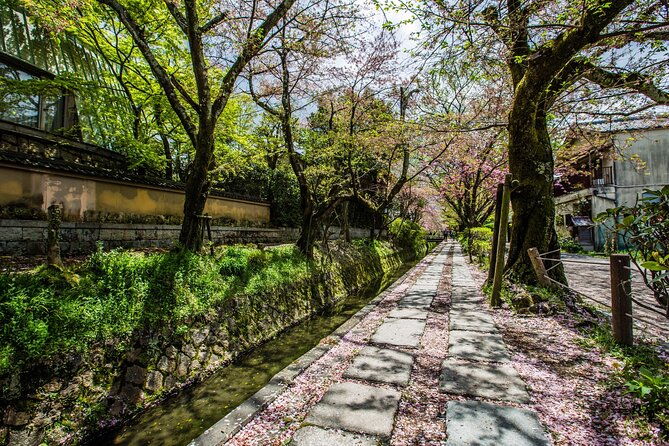 early-bird-e-biking-through-east-kyoto