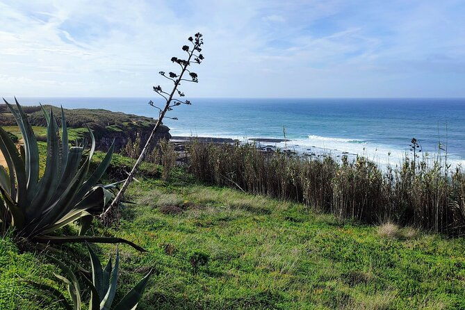 ericeira-private-tour-10-tastings-food-tour