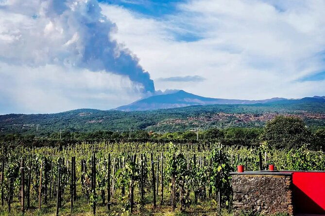 etna-excursion-and-wine-tasting-with-sicilian-lunch