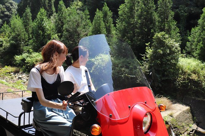 ev-car-rental-basket-group-local-tour-guide