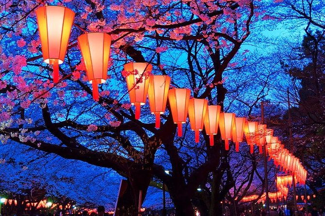 evening-hanami-cherry-blossom-experience-with-a-local-2