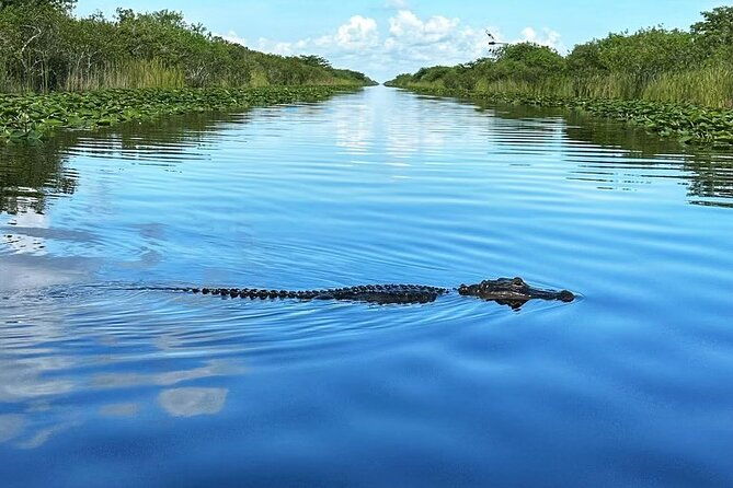 everglades-tour-from-miami-with-transportation