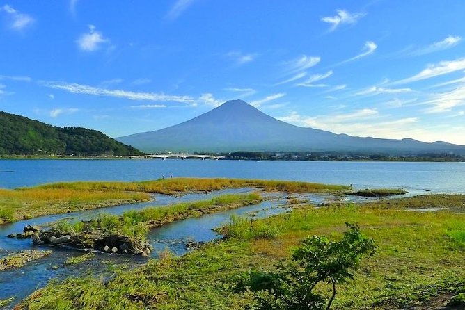 experience-the-stunning-nature-of-mt-fuji-private-tour