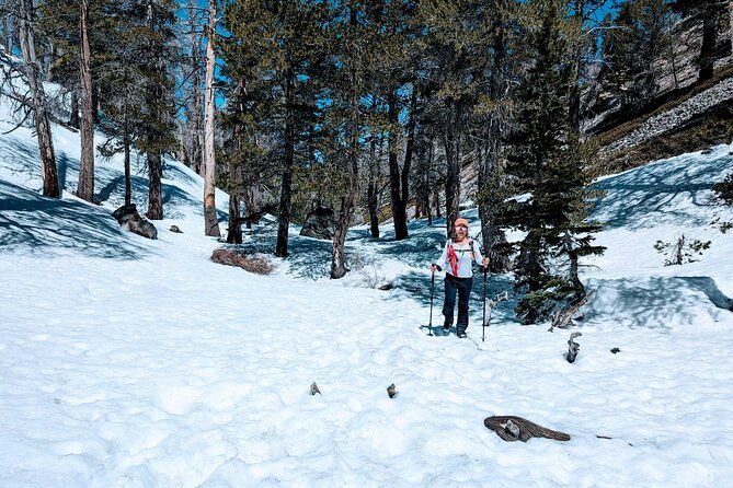 family-friendly-nature-hike-around-the-big-bear-valley