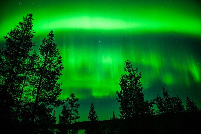family-friendly-northern-lights-adventure-from-rovaniemi